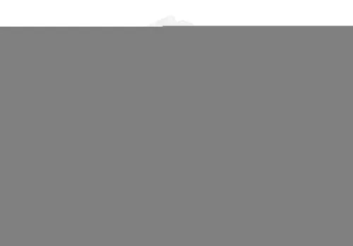 Quantum Food Service Quantum LDSB122 Bin Long Divider