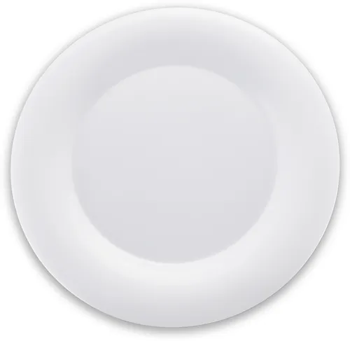 San Jamar San Jamar 3302402 Carlisle - Sierrus™ Dinner Plate