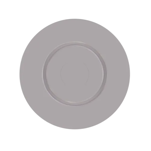 Skyfood Equipment Skyfood Equipment 5BBN30/45 Neapolitan Pizza Tray