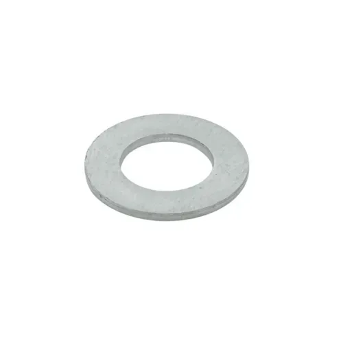T&S Brass T&S Brass S000974-20 Washer
