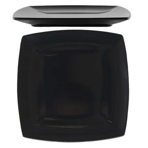 Thunder Group 29007BK Plate