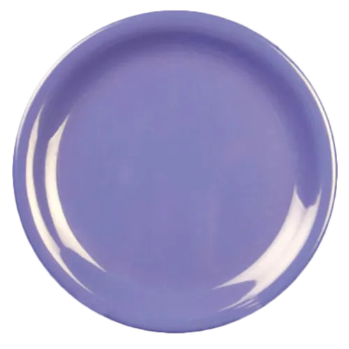 Thunder Group CR106BU Plate