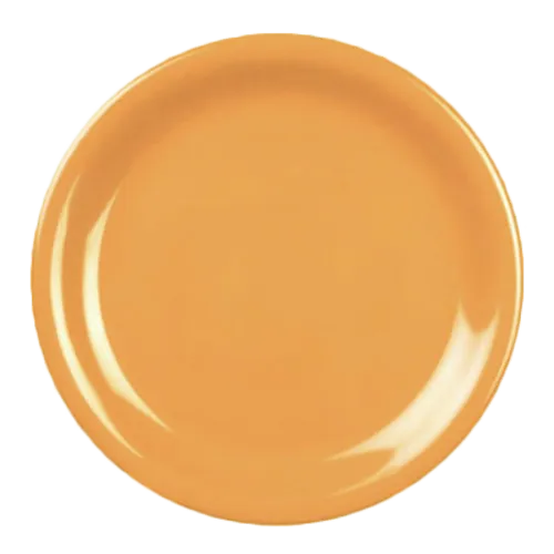 Thunder Group CR109YW Plate