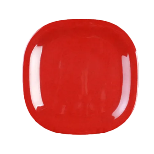 Thunder Group PS3008RD Square Plate