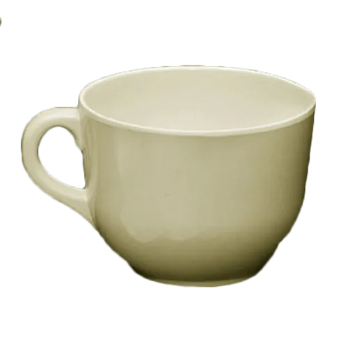 Thunder Group PS9475V Mug