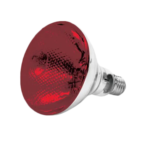 Thunder Group SEJ90001R Heat Lamp Bulb