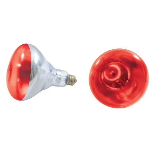 Thunder Group SEJ92001R Heat Lamp Bulb