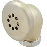 AllPoints 1101260 Waste Drain Overflow Head
