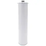 AllPoints 1171245 EverPure® Water Filter Cartridge