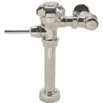 AllPoints 1171296 Flush Valve
