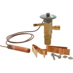 AllPoints 1241386 Expansion Valve