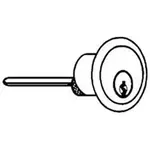 AllPoints 1341051 Alarm Control Cylinder Lock