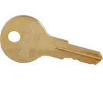 AllPoints 1341176 Detex Lock Key