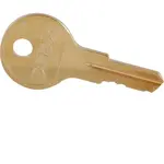 AllPoints 1341183 Detex Lock Key
