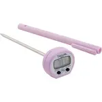 AllPoints 1381263 Thermometer