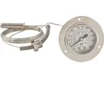 AllPoints 1381269 Thermometer