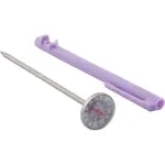 AllPoints 1381271 Thermometer