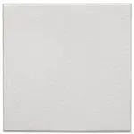 AllPoints 1591173 Ceiling Tile