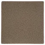 AllPoints 1591175 Ceiling Tile