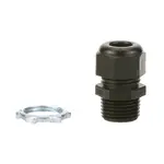 AllPoints 1831370 Relief