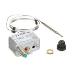 AllPoints 1831395 High Limit Switch