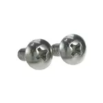 AllPoints 2051101 Screw
