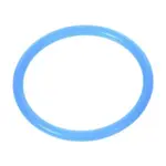 AllPoints 2171046 Valve Body O-ring