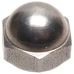 AllPoints 2221021 Cap Nut