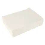 AllPoints Foodservice Parts & Supplies 2451061 Filter Paper