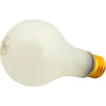 AllPoints Foodservice Parts & Supplies 2531143 Light Bulb