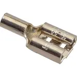AllPoints 2531494 Terminal