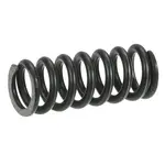 AllPoints 261300 Spring