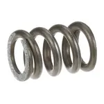 AllPoints 261563 Spring