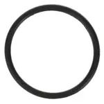 AllPoints 2631082 Wash Arm O-ring