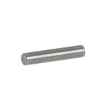 AllPoints 263351 Hinge Stop Pin
