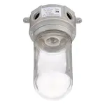 AllPoints 264330 Light Fixture