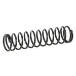 AllPoints 2661101 Spring