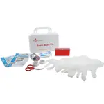AllPoints 2801749 Burn Kit (in plastic box)