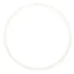 AllPoints Foodservice Parts & Supplies 321272 Tank Lid Gasket