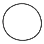 AllPoints 321499 Pump O-ring Gasket