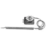 AllPoints 461000 Thermostat
