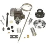 AllPoints 461027 Thermostat Kit