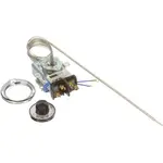 AllPoints 461029 Thermostat