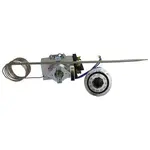 AllPoints 461034 Thermostat