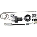 AllPoints 461037 Thermostat Kit