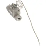 AllPoints 461043 Gas Type 2 Thermostat