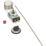 AllPoints 461055 Thermostat