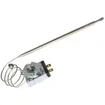AllPoints 461101 Thermostat