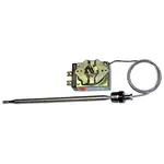AllPoints 461102 Thermostat (390F