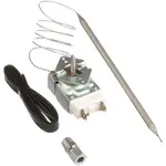 AllPoints 461141 Thermostat